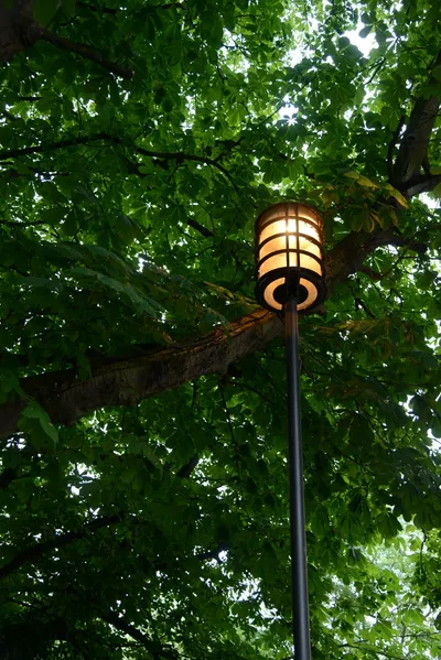 DSC_2724 (Large).JPG